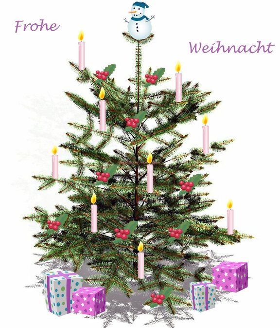 weihnachtsbaum-geschmueckt-8964348e-cf5e-4490-979e-29aca9349f53.jpg 
